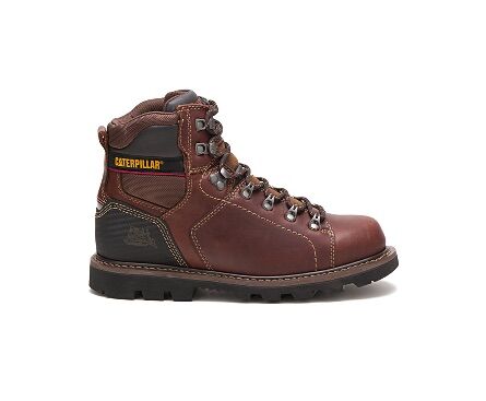 Men's Alaska 2.0 Work Boot